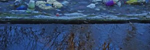 11370_0701.ee 11370_0701.ee