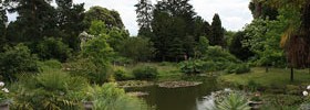 11520_MyddletonGarden 11520_MyddletonGarden