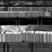 11631_3101_books2 Image by See Wah