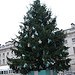 XmasTree_sqaure_1Jan09.jpg