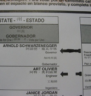 0802MayorBallot.jpg