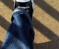 11638_walking-shoes 11638_walking-shoes