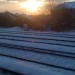 11664_Snow_rails_3Feb09 Image courtesy of Phillie Casablanca from the Londonist Flickr pool