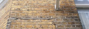 11678_0502.lon