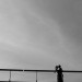 11839_1802.ee 11839_1802.ee