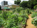11841_Allotment_19Feb09