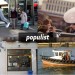 11956_populist280209 11956_populist280209