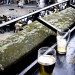 11957_Drink-ography_01 11957_Drink-ography_01
