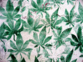 Cannabis_stencil.jpg