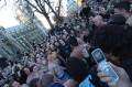 Haka_6Feb09.jpg