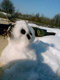 sunsnowman0901.jpg