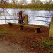 Chiswick Riverside by Shilpa Bhaganat