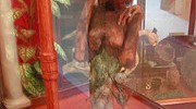 11999_mermaidreplica