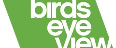 12005_BirdsEye_logo