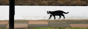 12051_blackcat Bad luck courtesy of Ronald Hackston via the Londonist Flickrpool.