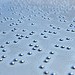 12071_1003.braille 12071_1003.braille