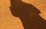 12160_hornedfigure