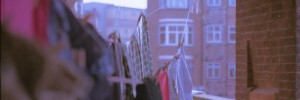 12227_2303.ee