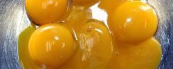 Egg yolks by Tiki Chris