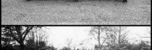12251_2503.ee2
