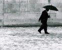 12255_2603_umbrella 12255_2603_umbrella