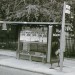 12294_poll-tax-bus-stop