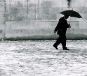 2603_umbrella.jpg