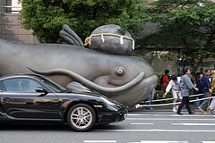 Catfish