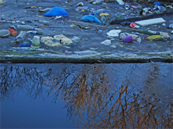 untidycanal.jpg