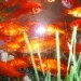 12356_0204.seez 12356_0204.seez