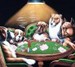 12491_pokerdogs