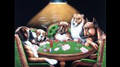 12491_pokerdogs