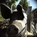 Photo by dicksdaily