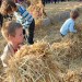 12749_straw 12749_straw