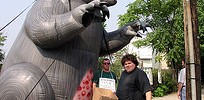 12860_bigrat