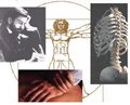 12914_Chiropractic
