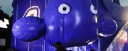 12954_udderbelly 12954_udderbelly