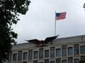 13009_grosvenorsq