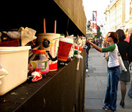 0406_litter.jpg