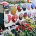 Interesting garden display in Clapham by allyzally via the Londonist Flickrpool