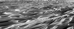 13290_antarcticview