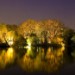 13302_2006.park