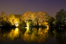 13302_2006.park 13302_2006.park