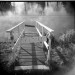 13307_2106.bridge