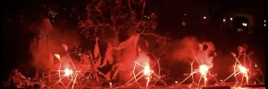 13325_fousdebassin