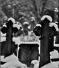 13371_2605_grave