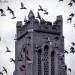 13416_potd_09_75
