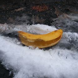 SnowRisk.jpg