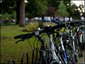 bicycleparkrise.jpg