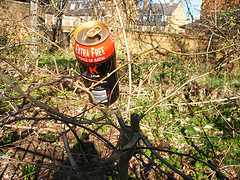 extrafreecider.jpg